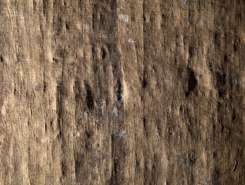 Texture Of Old Papurus In Sidelight