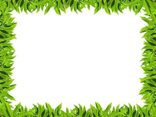 Natural green leaf frame