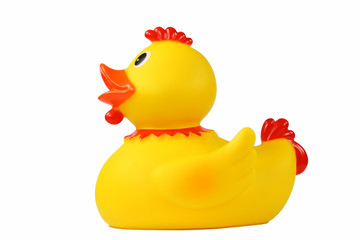 Seitenansicht von Gelber Badeente