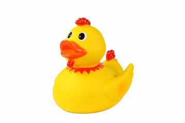 Gelbe Badeente freigestellt auf weissem Hintergrund