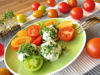 Frischkäsekugeln mit Gartenkresse dazu wilde Tomaten
