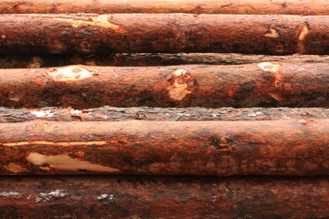 wood