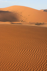 Fototapeta na wymiar Le vent sur les dunes