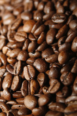 coffee beans