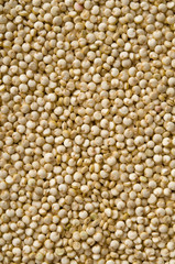 Quinoa-Hintergrund