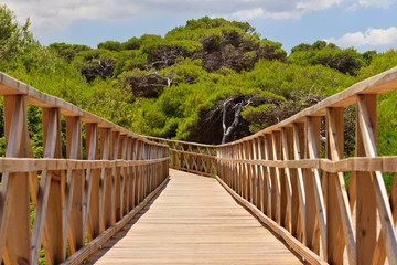 Naklejka na ściany i meble Boardwalk przez wydmy w miejscowości Alcudia, Majorka