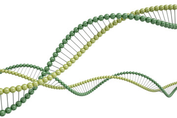 DNA strands. 3D render.