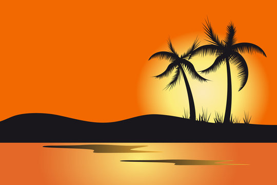 vector palms sunset