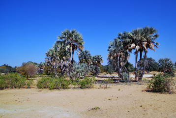 Kaokoland Namibie