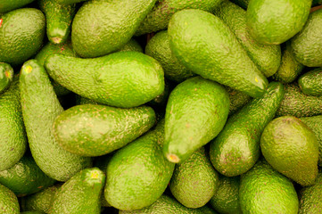 Many avocado