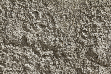Texture - Muro