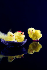 Easter Chicks © imaginelen