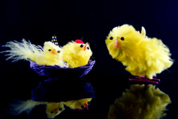 Easter Chicks © imaginelen