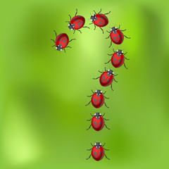 Ladybirds