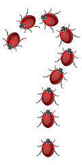 Ladybirds