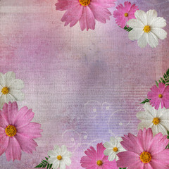 Abstract floral textured  background with daisy flower