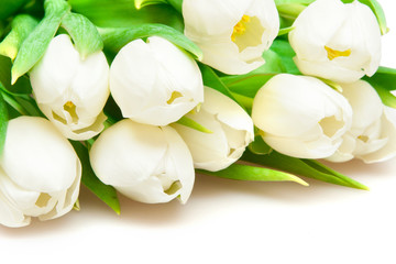 Fototapeta na wymiar white tulips