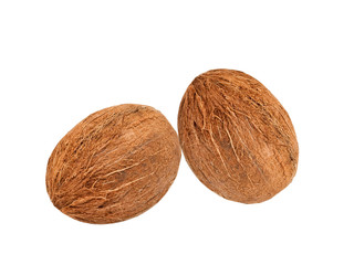 coconuts isolated on white background