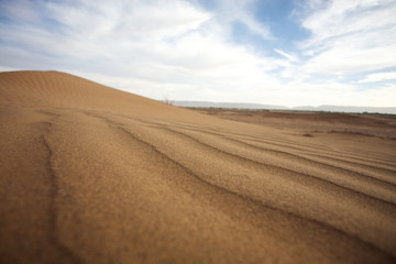 Sahara desert