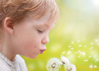 Fototapeta premium Young blond kid in the meadow blowing wishes on dandelion seed