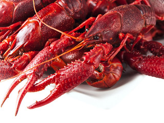 crawfishes