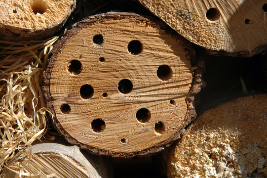 Nesting Box