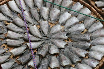 Fish drying in the sun, Thailand.