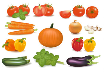 The big colorful collection of vegetables. Vector.