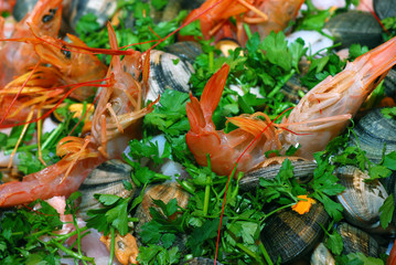 CONDIMENTO  di pesce fresco
