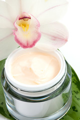 Face cream and orchid flower