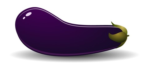 ripe eggplant. vector