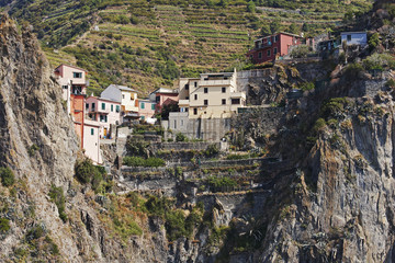 Naklejka premium Houses on a cliff, Vernazza