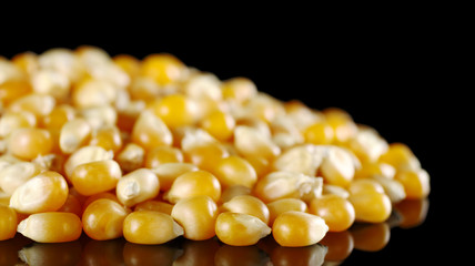 Pile of yellow maize kernels