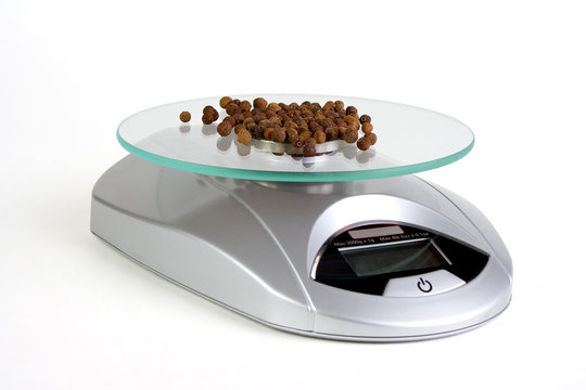 Digital Kitchen Scale