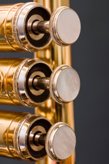 Instrumentdetails