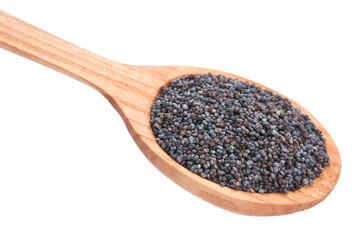 Poppy seed spice in wood spoon