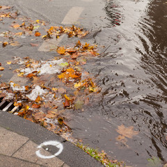 Clogged sewer blocks rainwater runoff