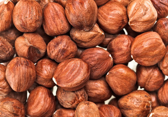 Unshelled hazel nuts isolated on white, food background