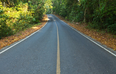 Fototapeta na wymiar Road in the national park,Thailand