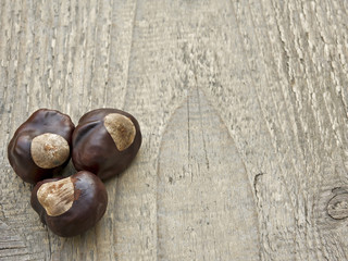 Obraz premium chestnut