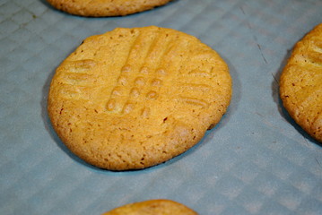 Peanut Butter Cookie