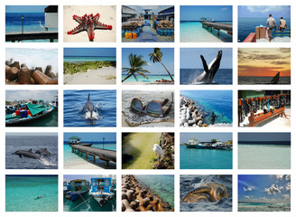 isole maldive collage © michele.pautasso