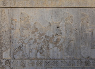 Persepolis - ruins of Xerxes & Darius palace