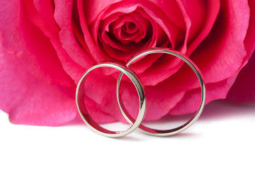Gold wedding rings and pink rose isolated