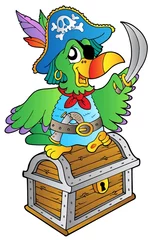 Wall murals Pirates Pirate parrot on treasure chest