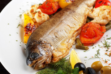 trout fish