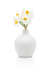 White daffodils in vase