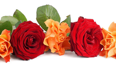 Roses