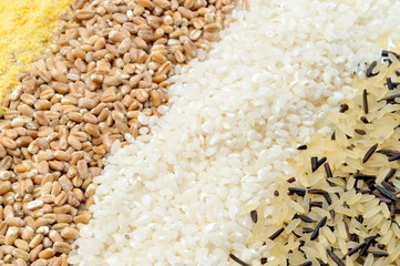 colorful cereal seeds background