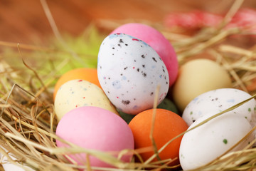 Fototapeta na wymiar Easter eggs in a bird's nest